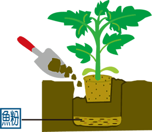 ���̐[�������،���