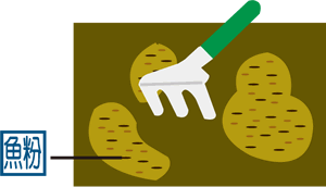 ���̒��肪�󂢖�،���