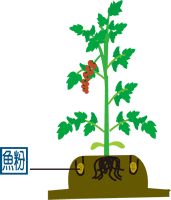 ���̐[�������،���