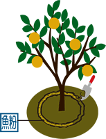 ���̐[�������،���