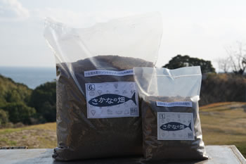 ���ܖ������ݖ��̑f