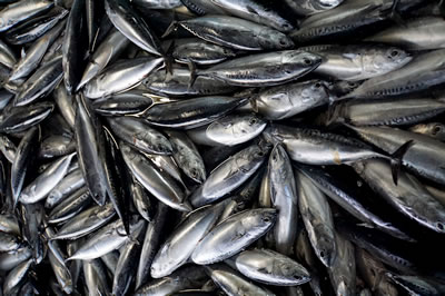 �@ ������